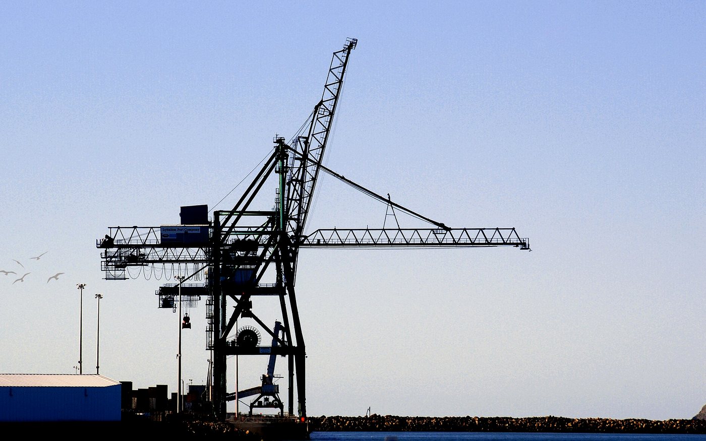 Gantry cranes working a container vessel